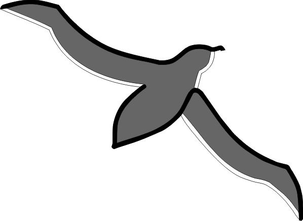 Partner name